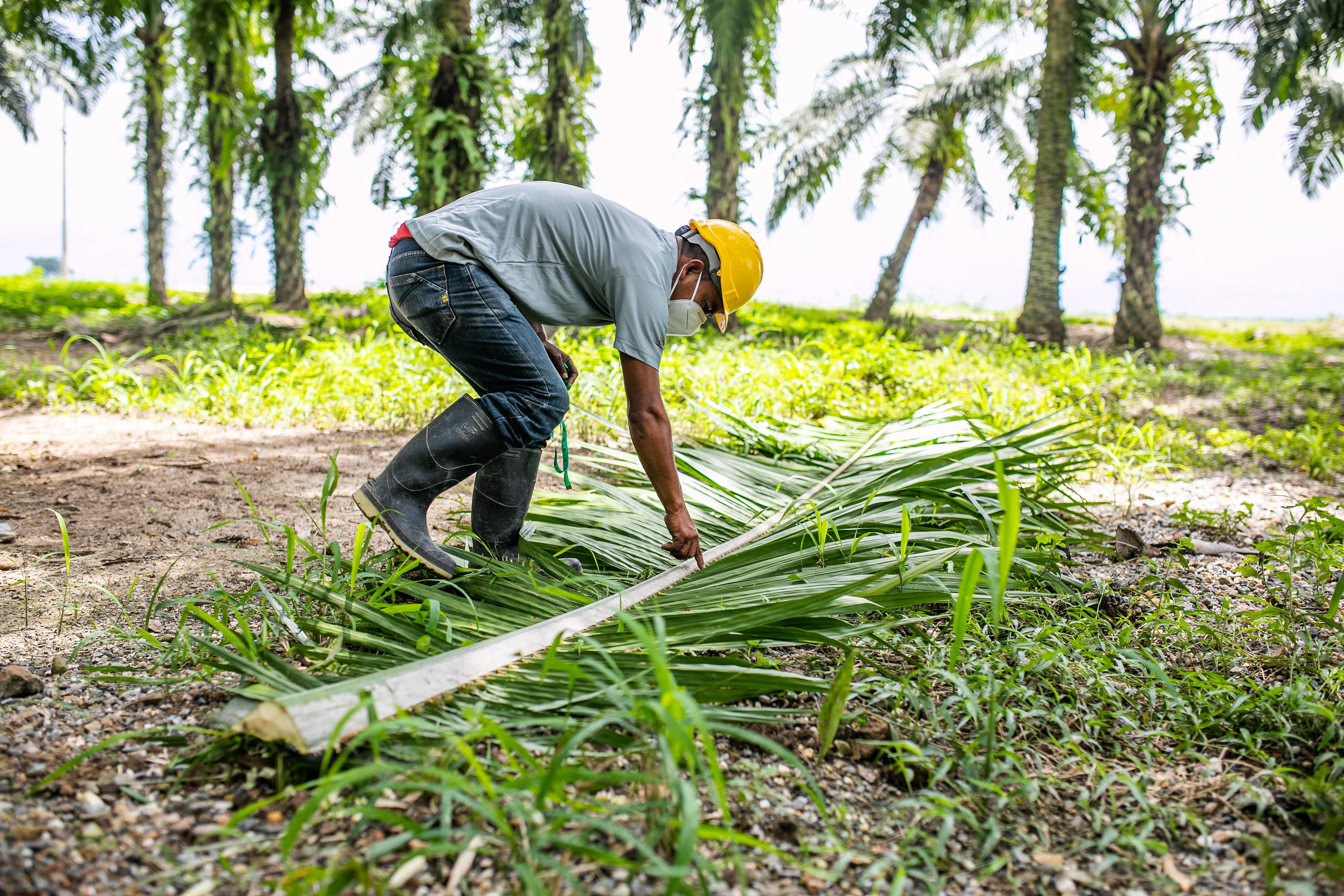 AgroAmerica Guatemala