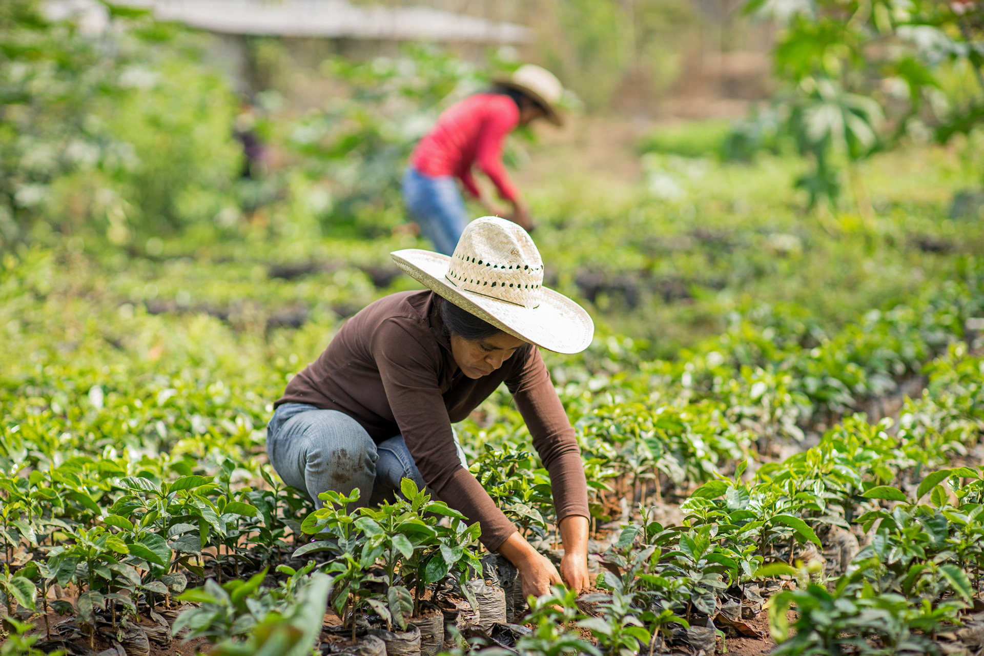 UN Woman Guatemala