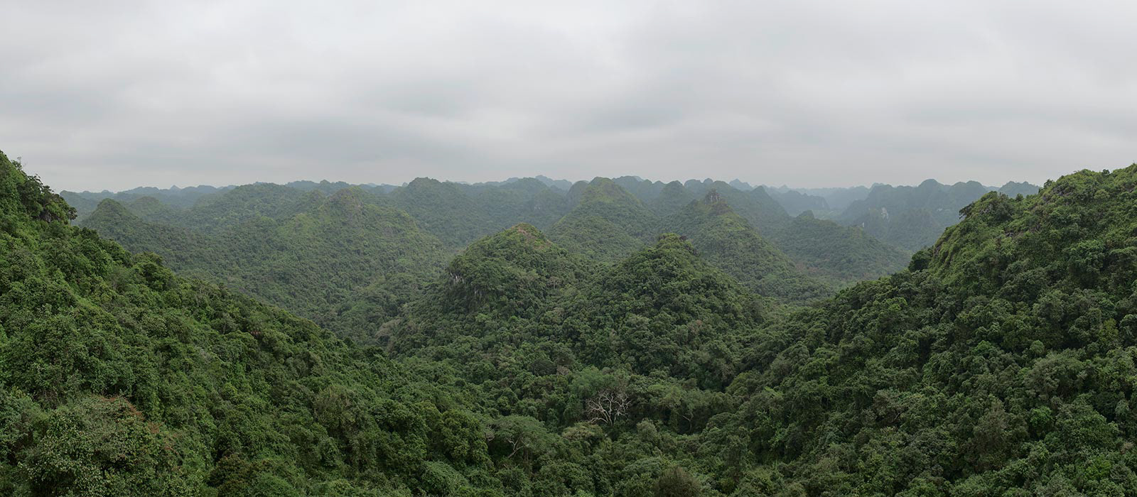 phía bắc Nr. 127