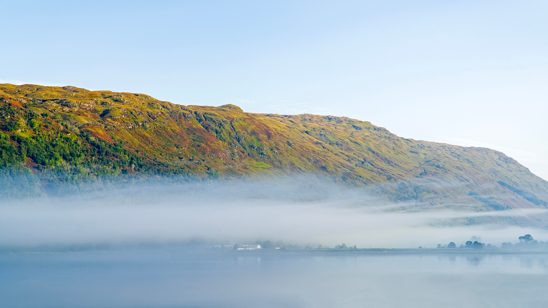 Misty Morning on Loch Fyne
