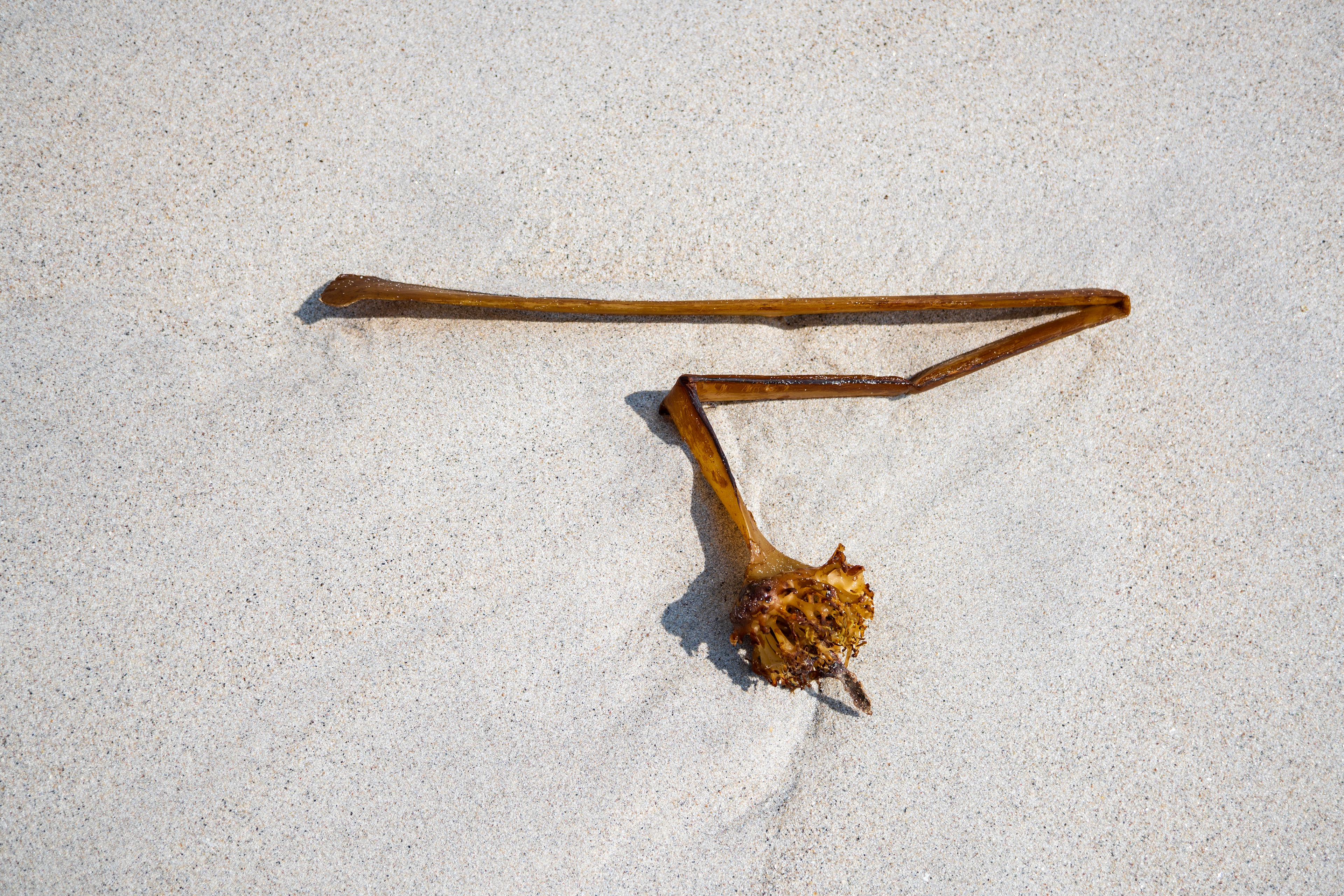sand