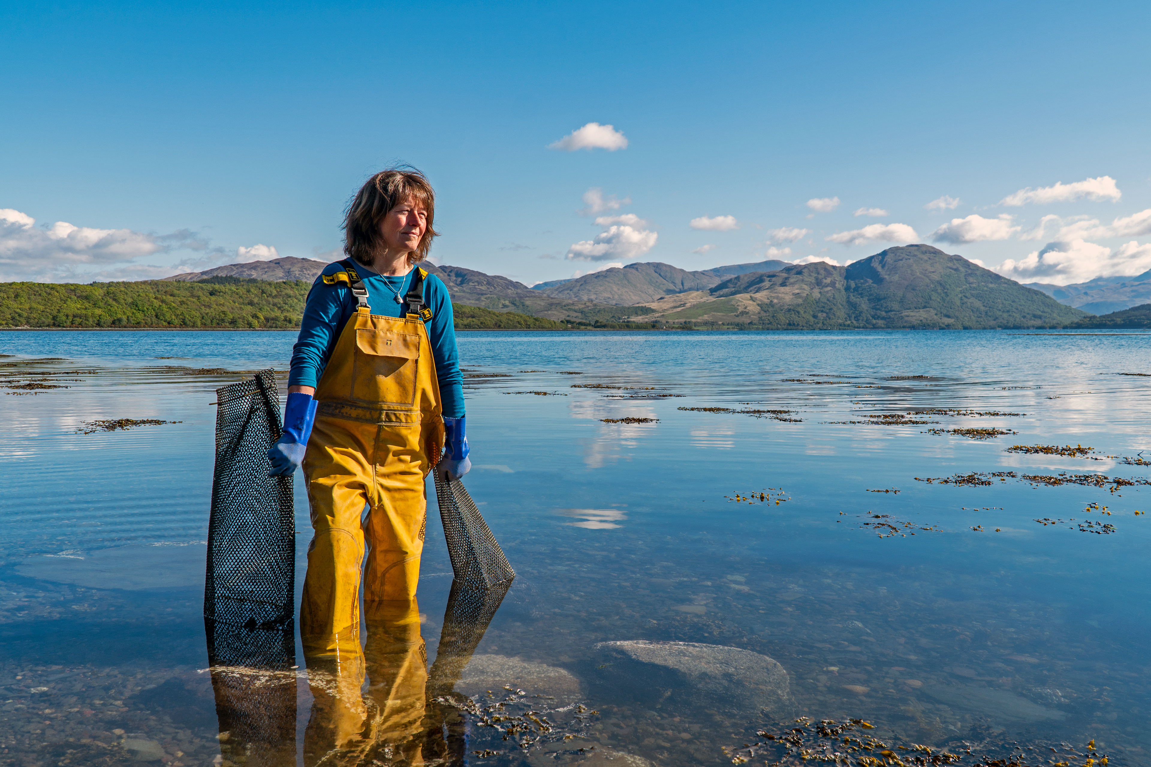 Portrait for Oyster Isles