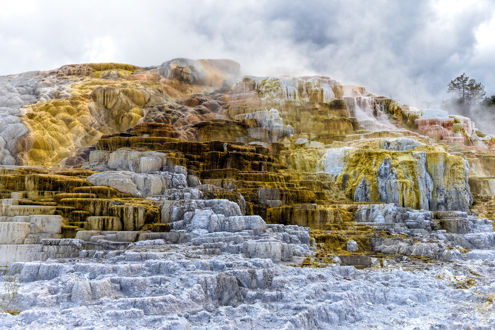 Mammoth Hot Springs