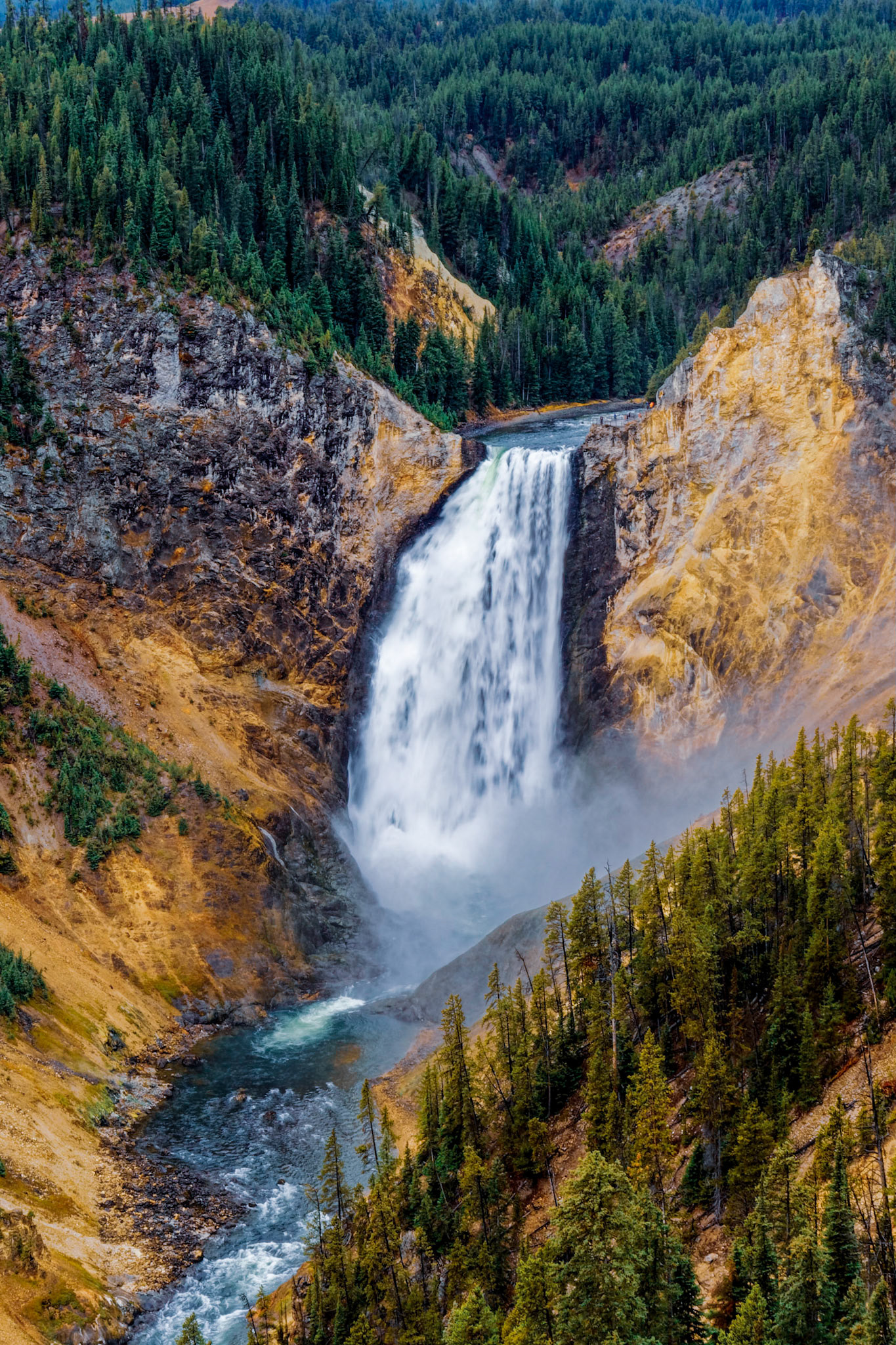 Yellowstone Falls