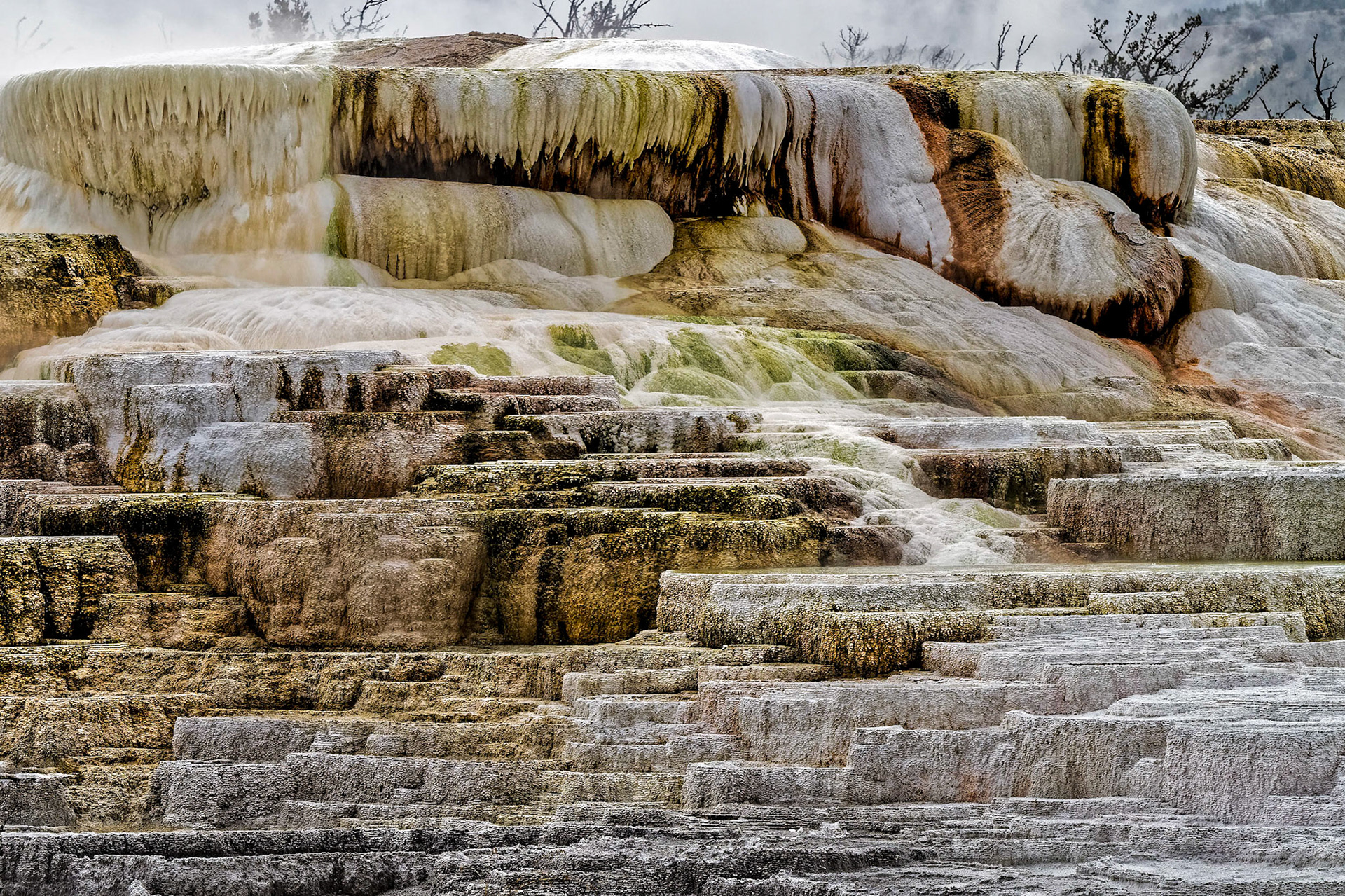 Mammoth Hot Springs 2