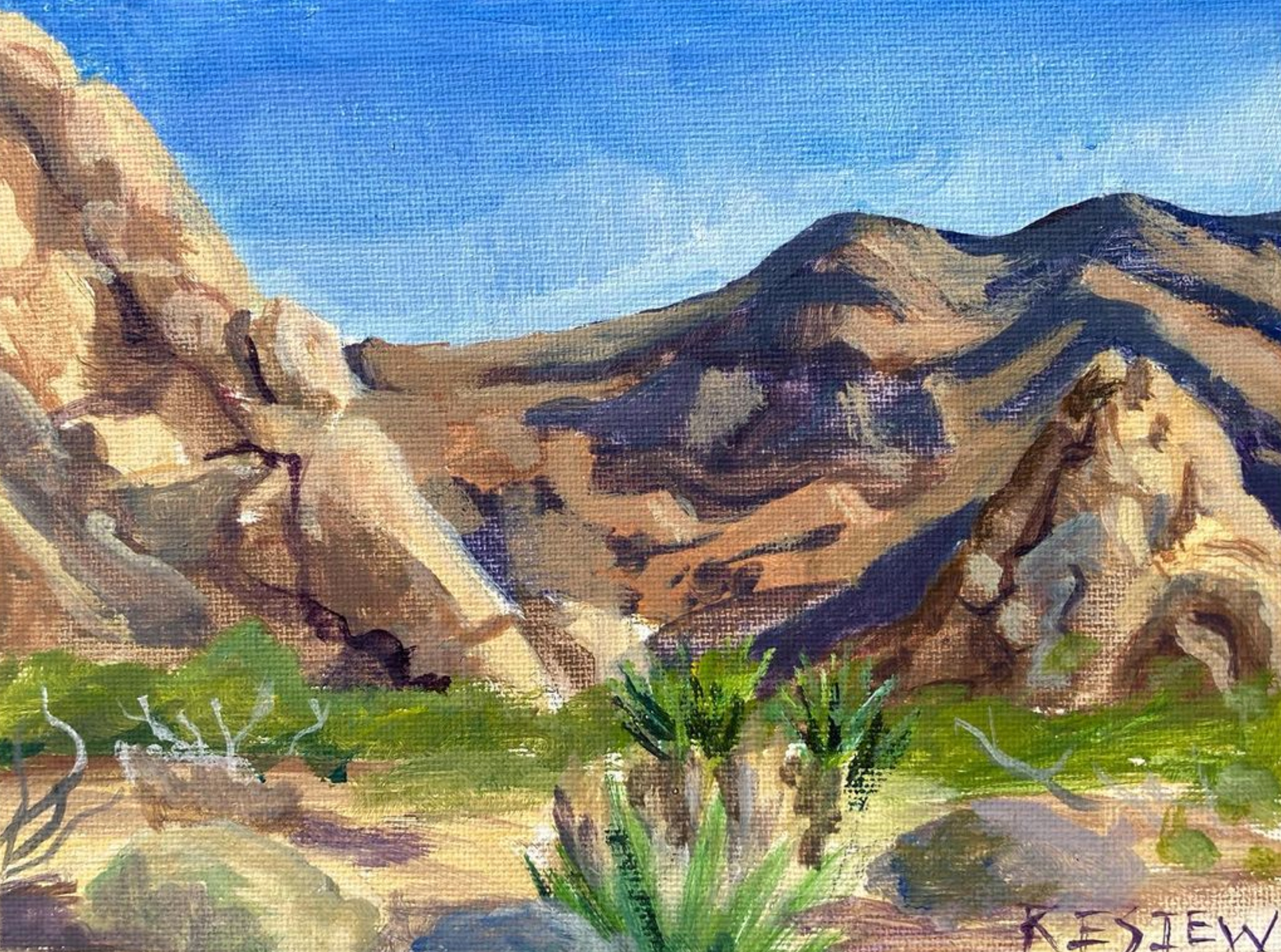 Joshua Tree