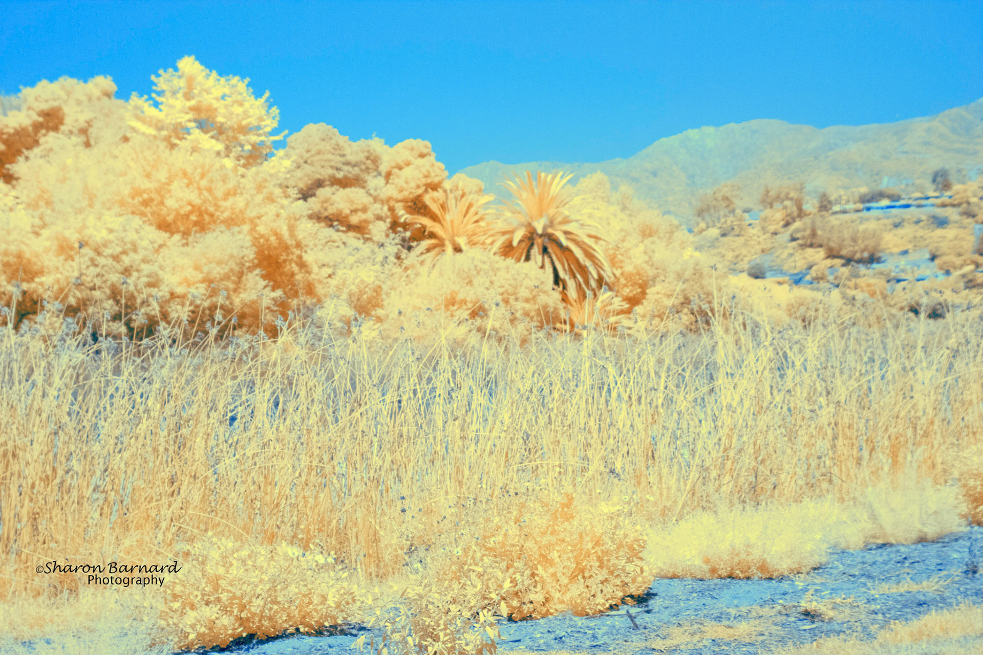 IR filter, channel swap PS