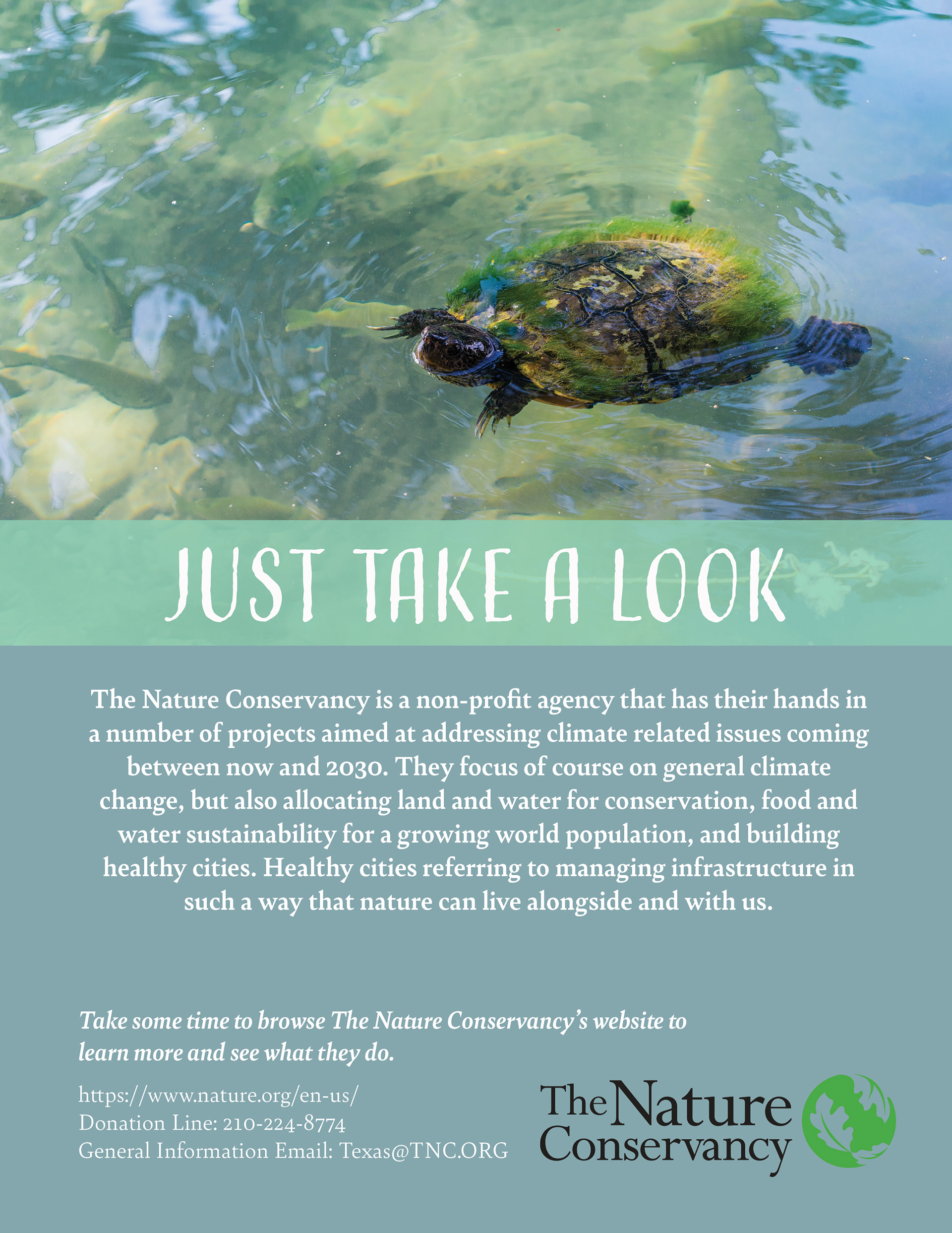 Nature Conservancy Full Page Ad, 2022, Unprompted
