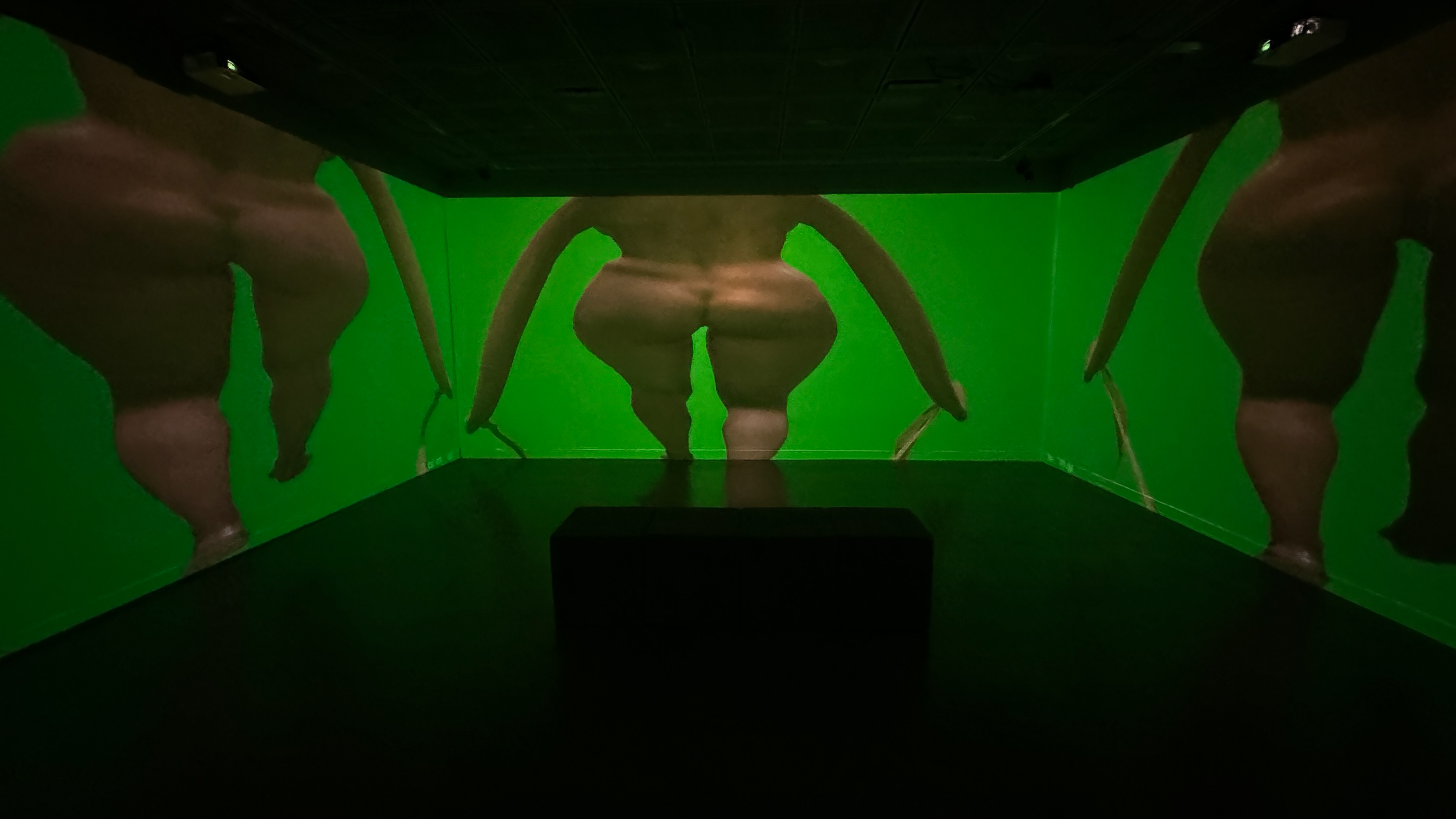 Kameo Chambers, alienIRL, 2024, 3 Channel 4K Projection, 4:32 minutes (installation view)