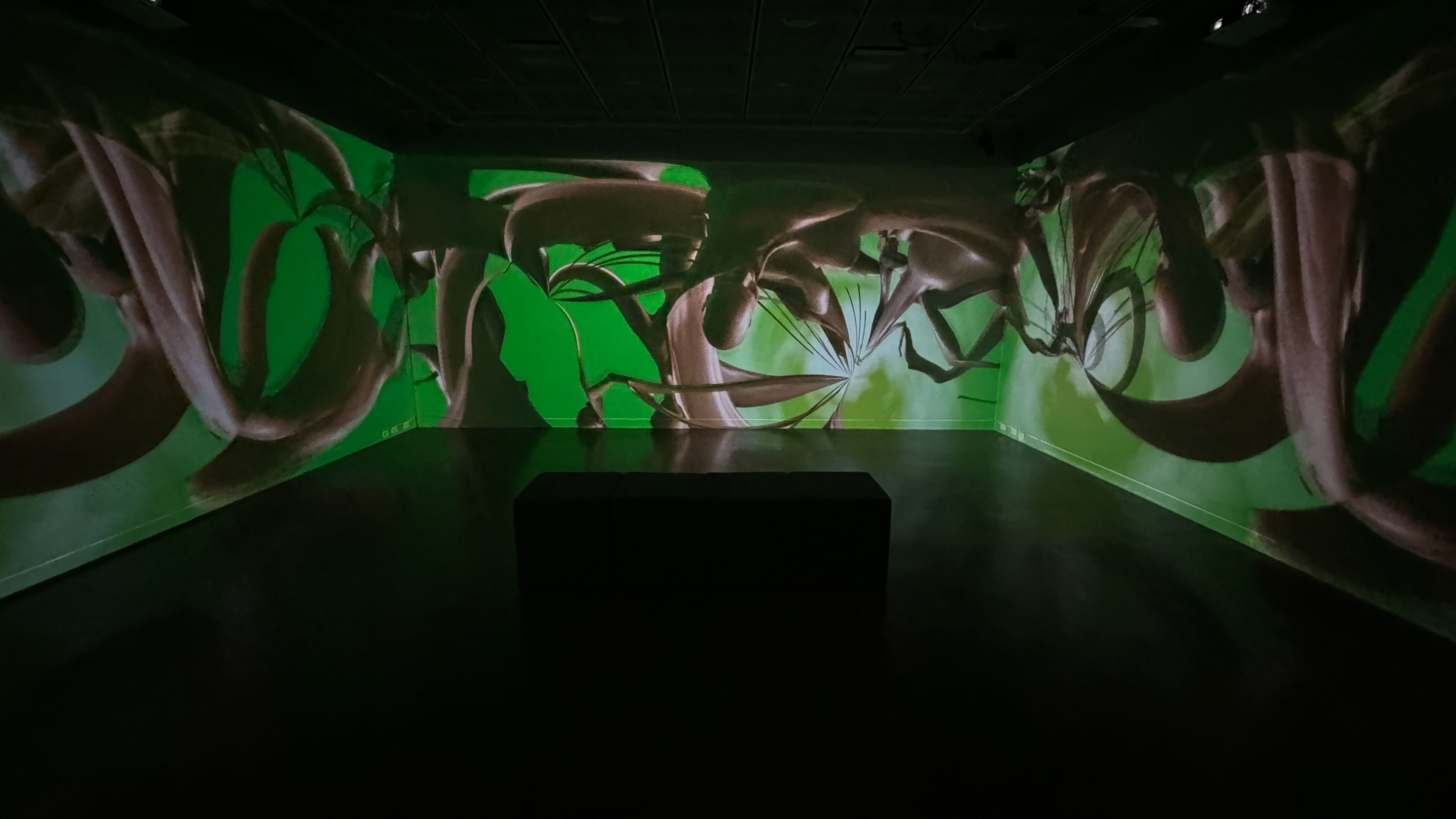 Kameo Chambers, alienIRL, 2024, 3 Channel 4K Projection, 4:32 minutes (installation view)