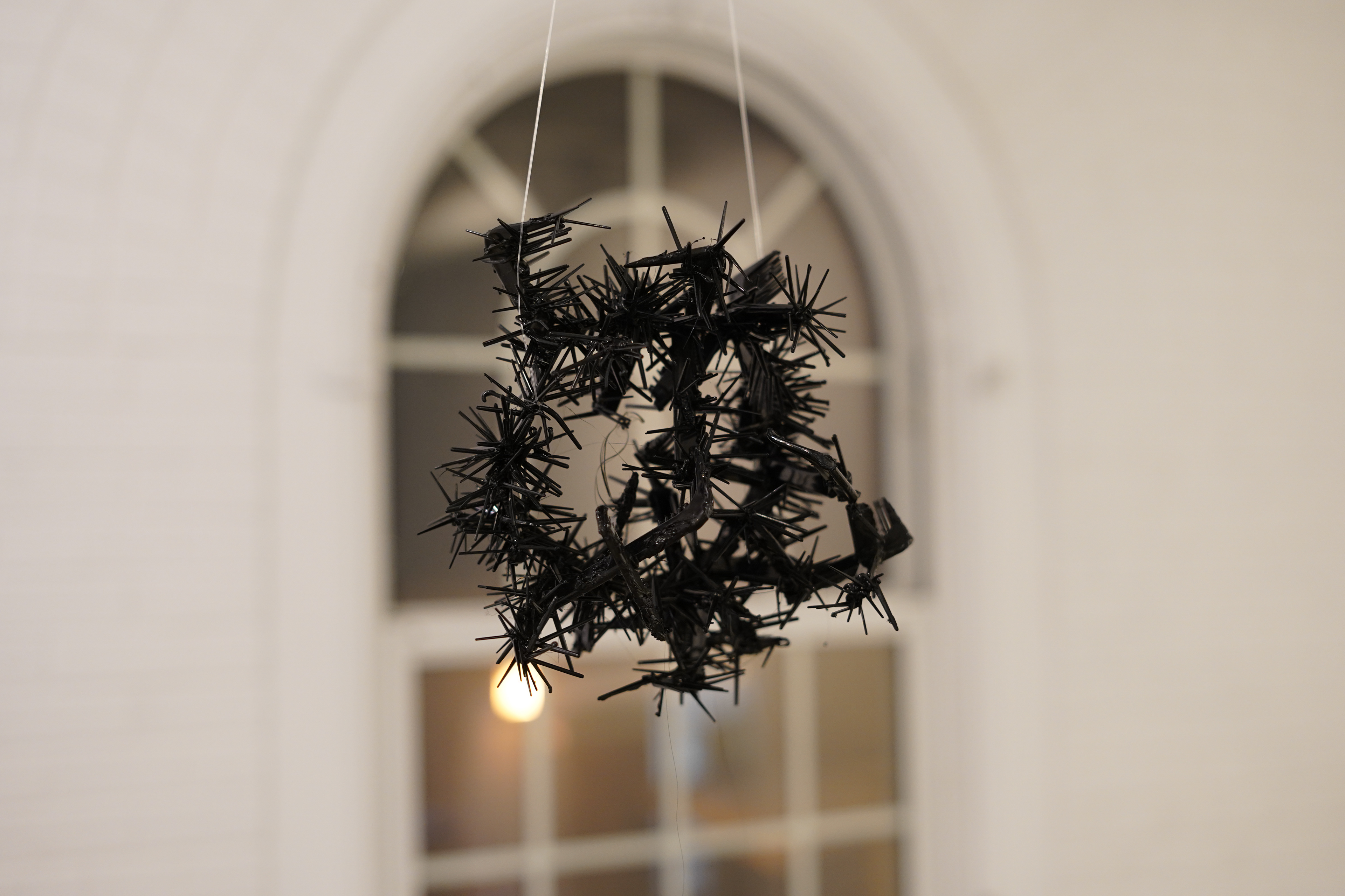 Kameo Chambers, Crown of Thorns, 2024, Plastic Combs, 9 in x 10.5 in x 6.5 in