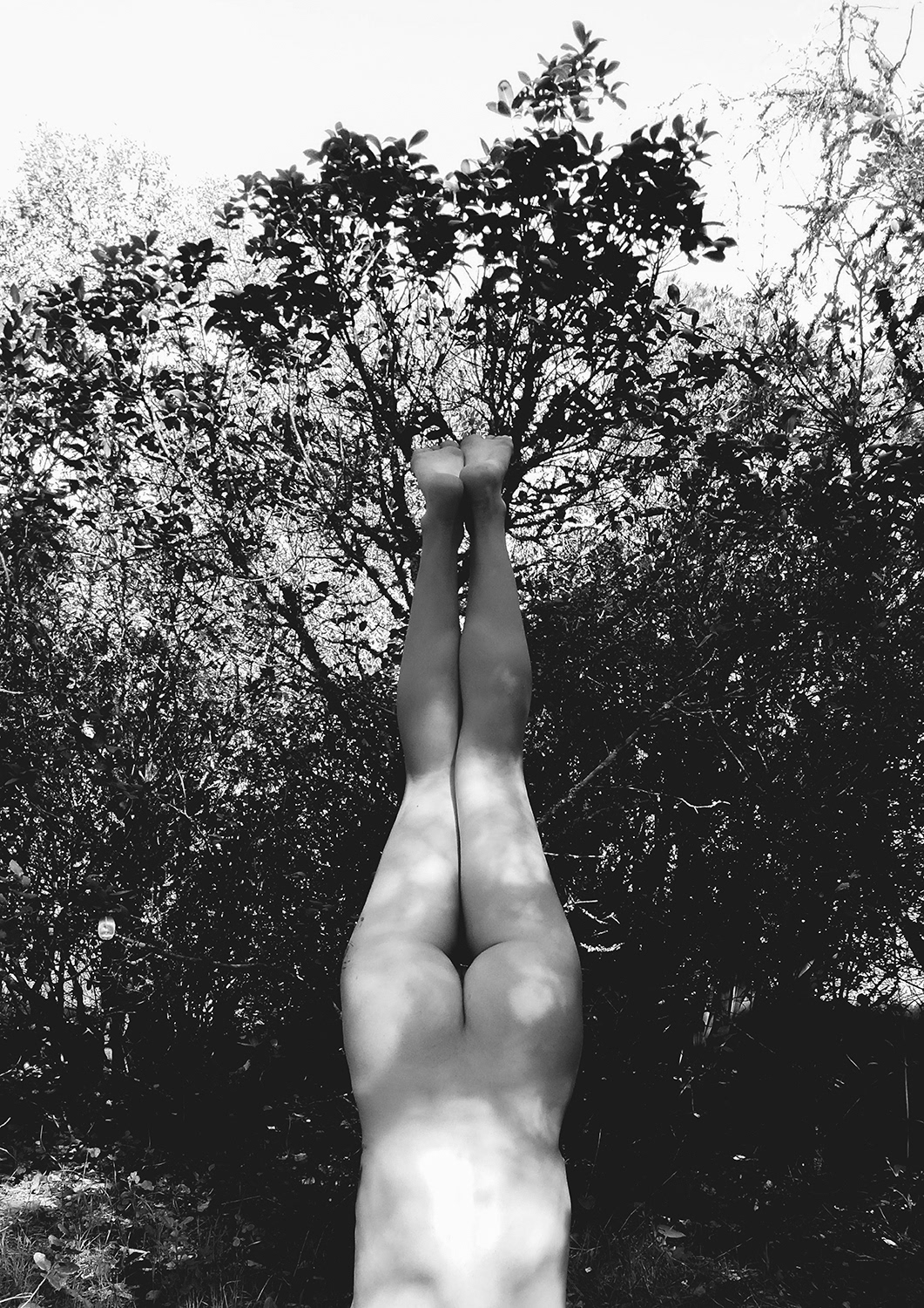 EMPTINESS WILL EAT THE WITCH
