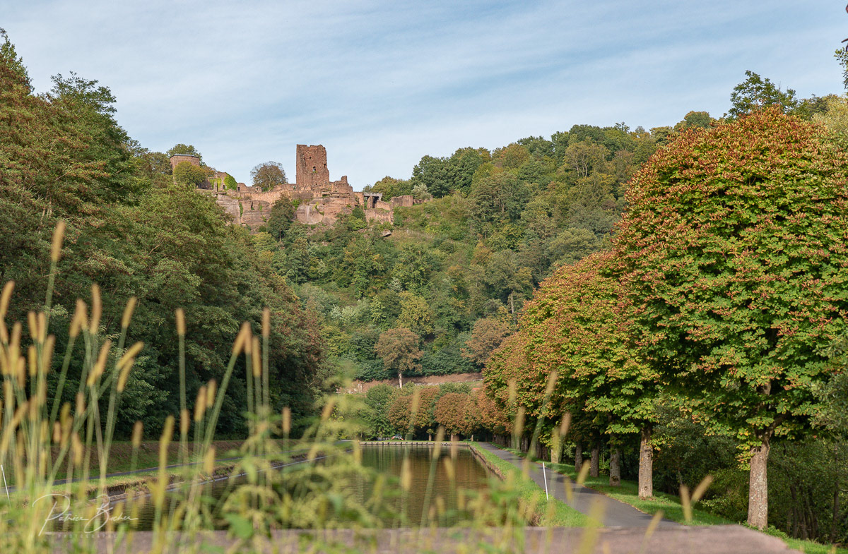 Château de Lutzelbourg pour le Pays de Phalsbourg