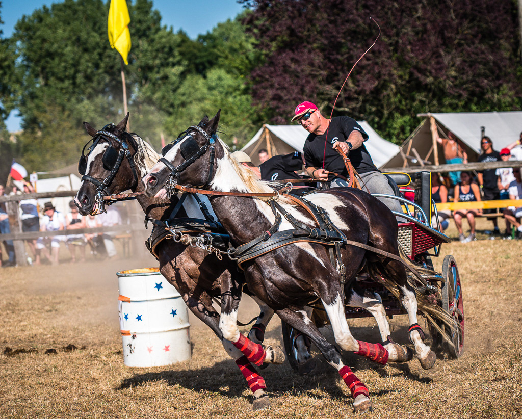 Course d'attelages