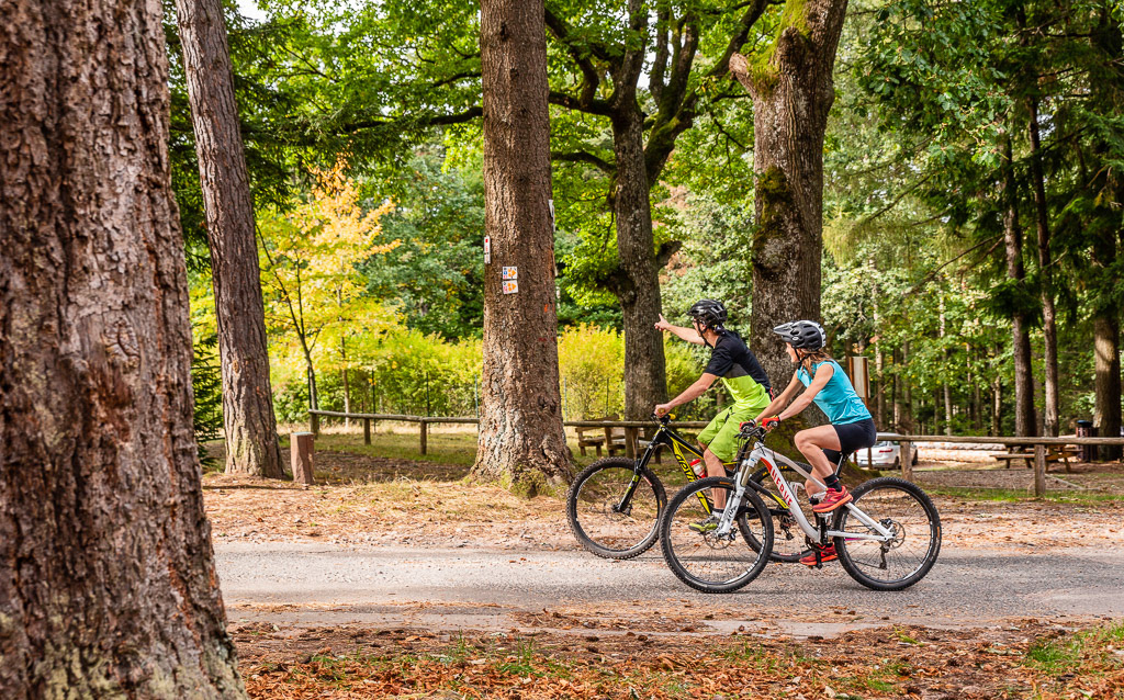 le vélo au Pays de Phalsbourg