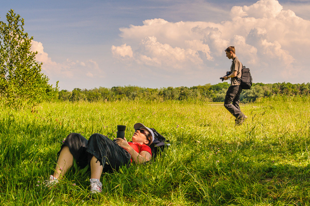 Formation collective