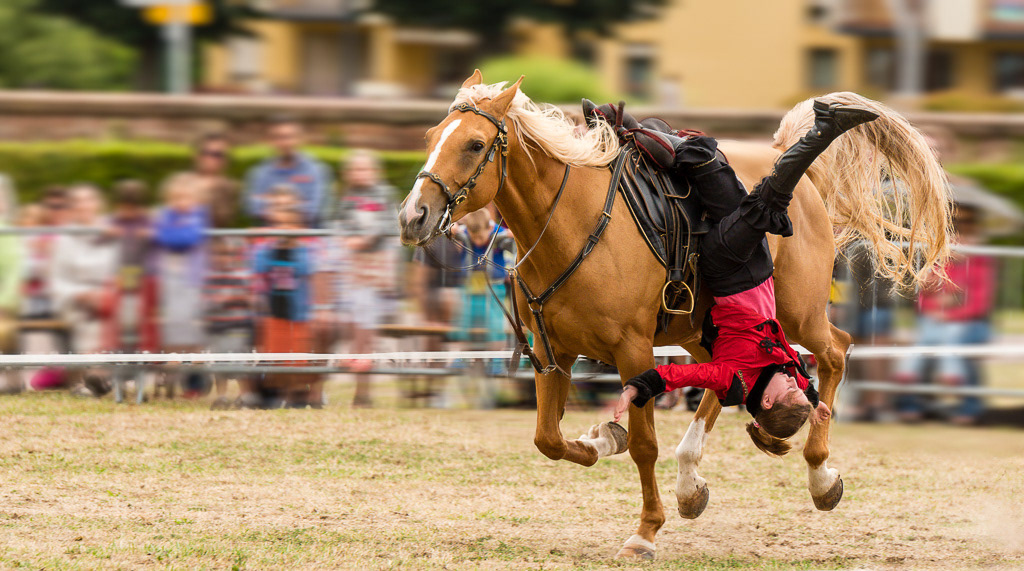 Détour de cheval : cascadeurs de la Cantera