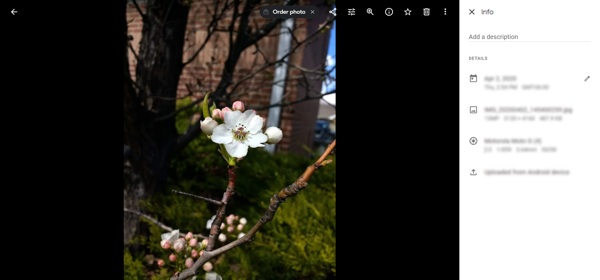An example from Google Photos showing the info icon in the image controls opening a data sheet.