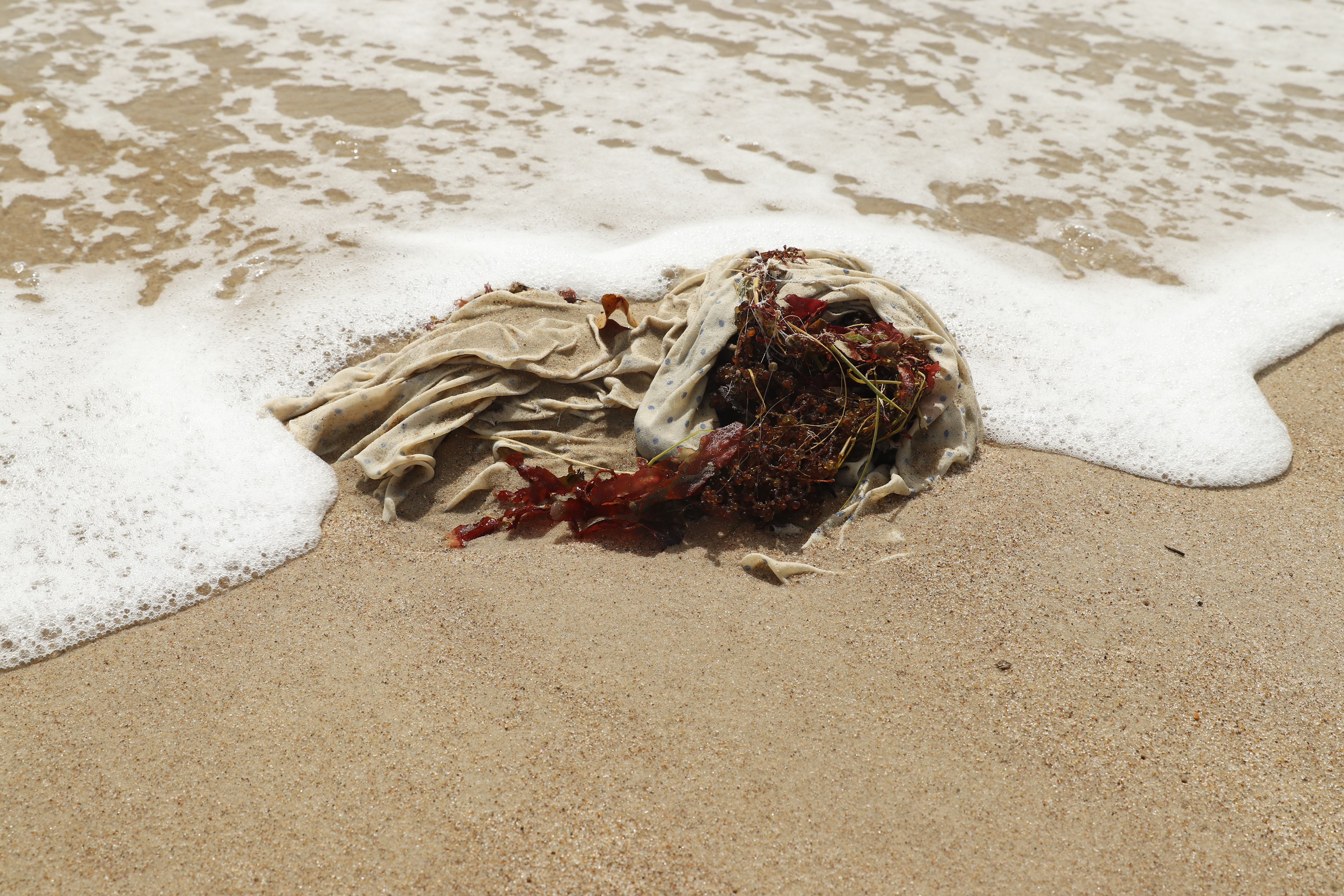 Série Minha guia, 2023.