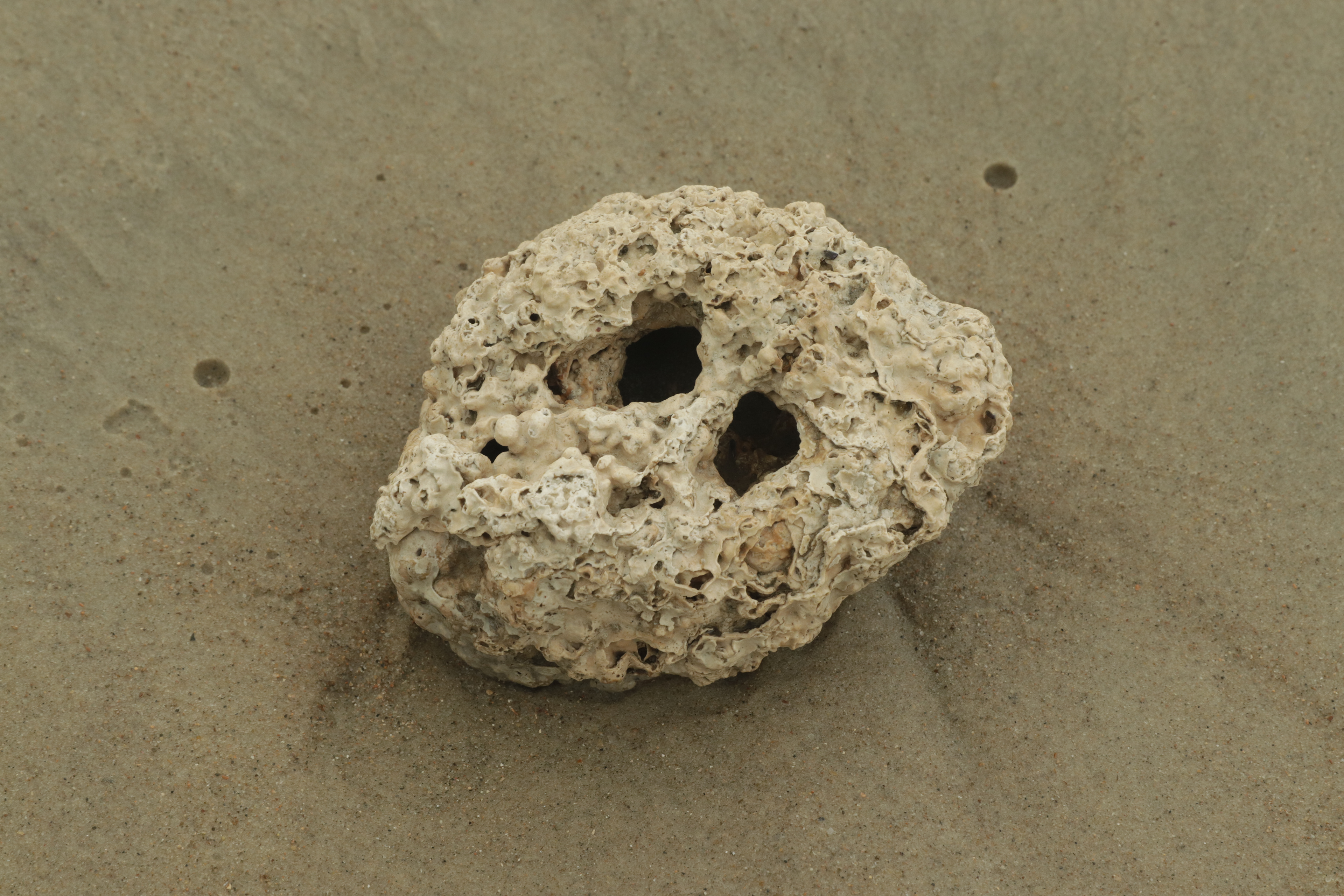 Série Minha guia, 2023.