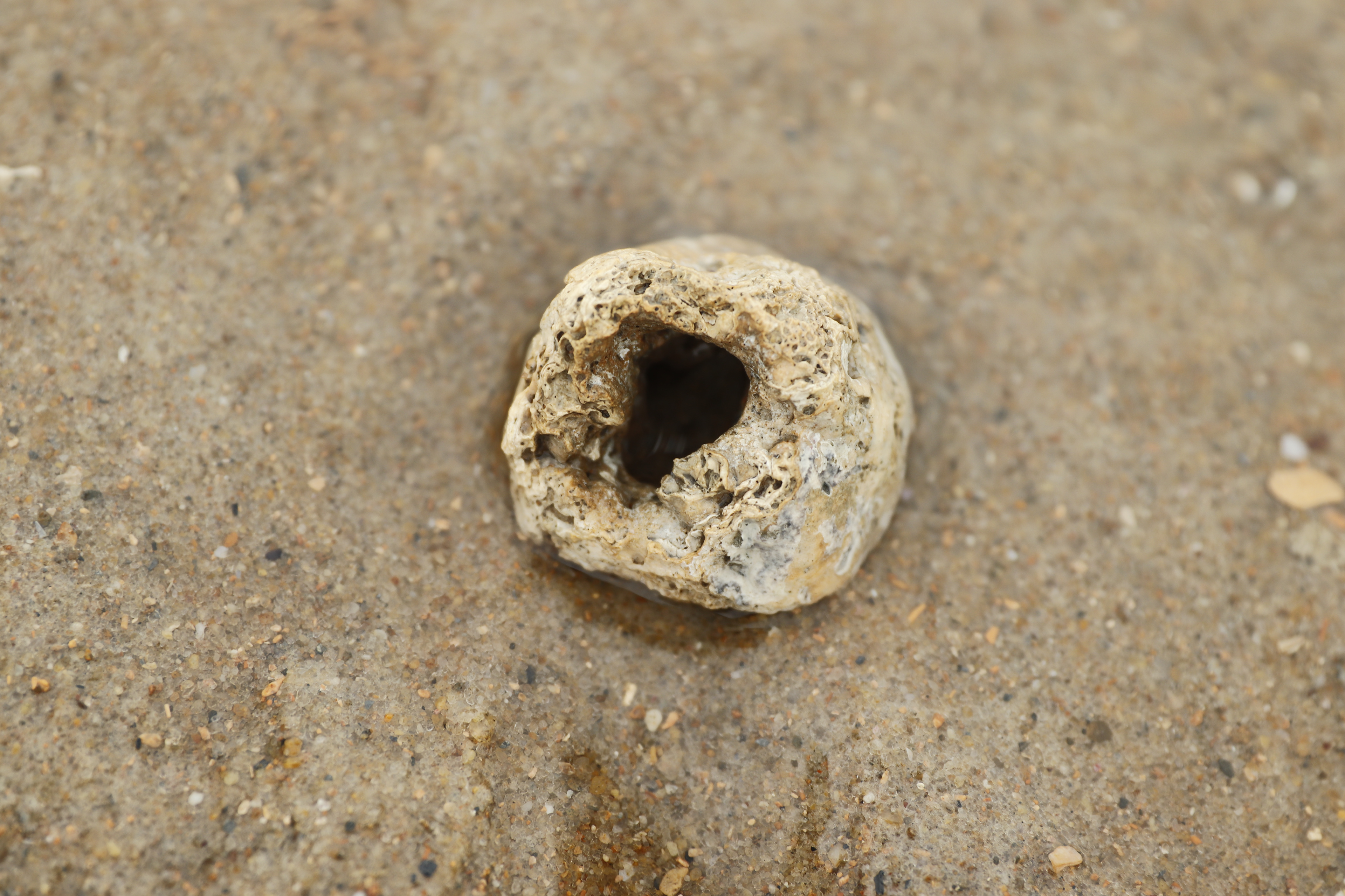 Série Minha guia, 2023.