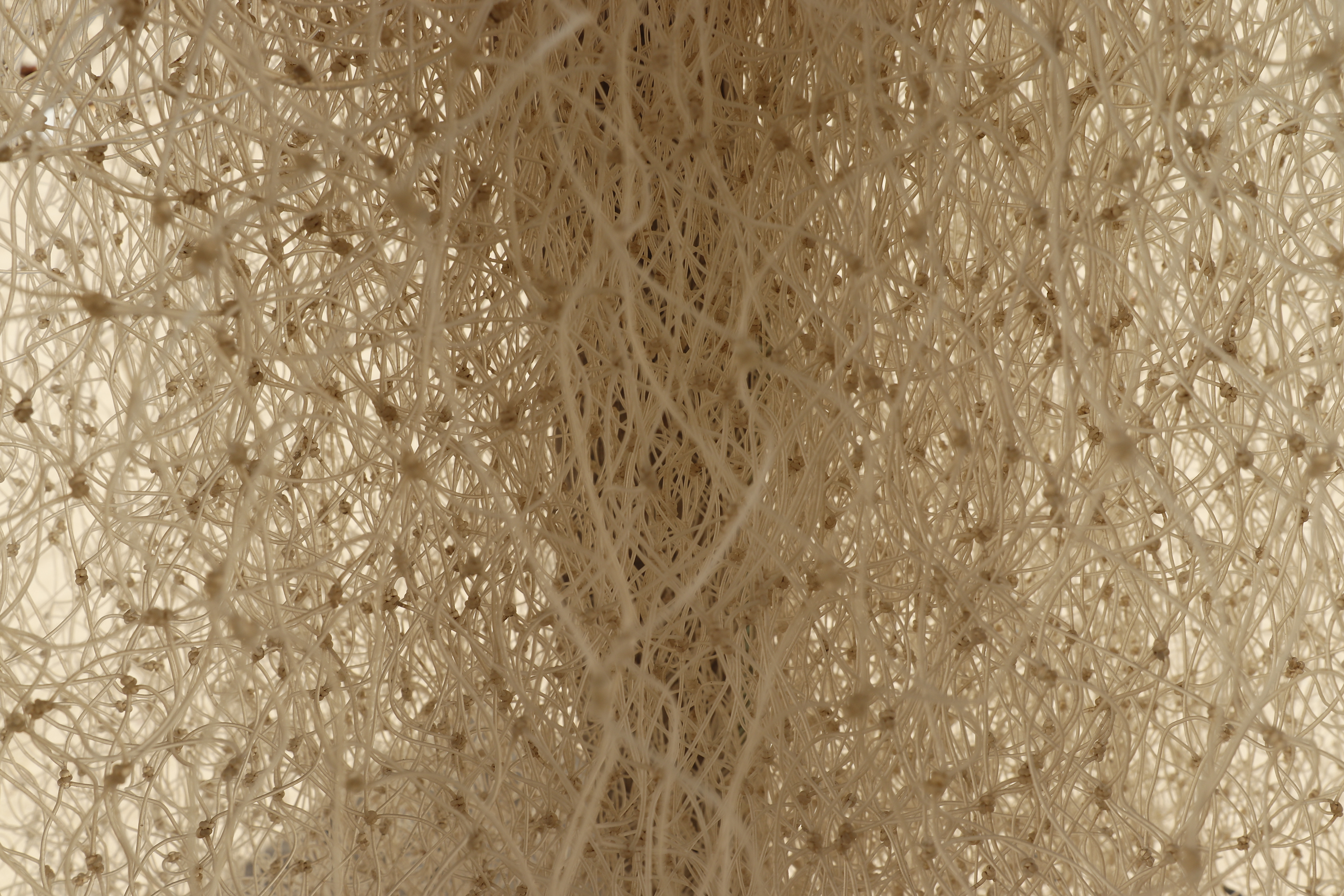 Série Minha guia, 2023.