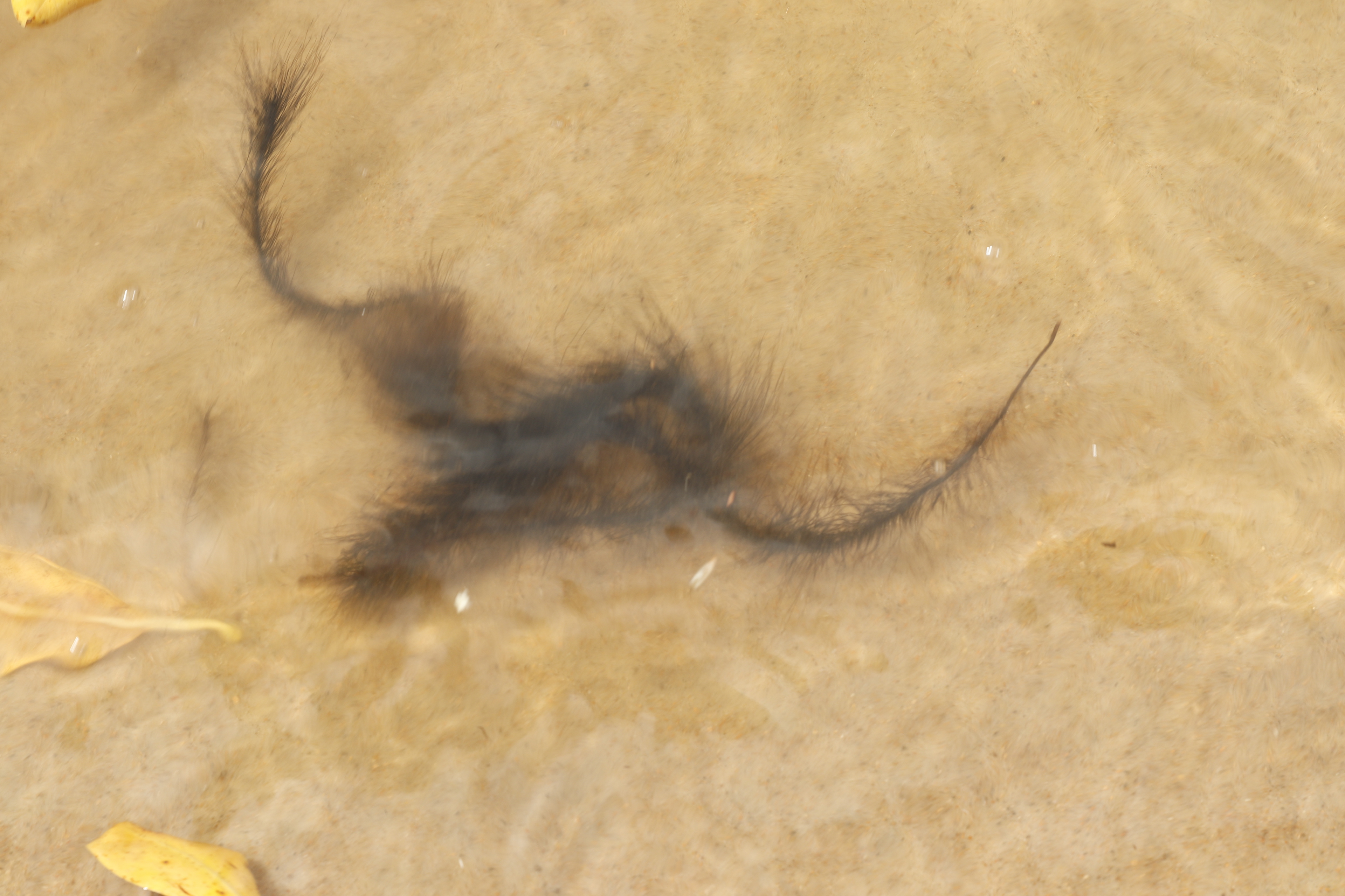 Série Minha guia, 2023.