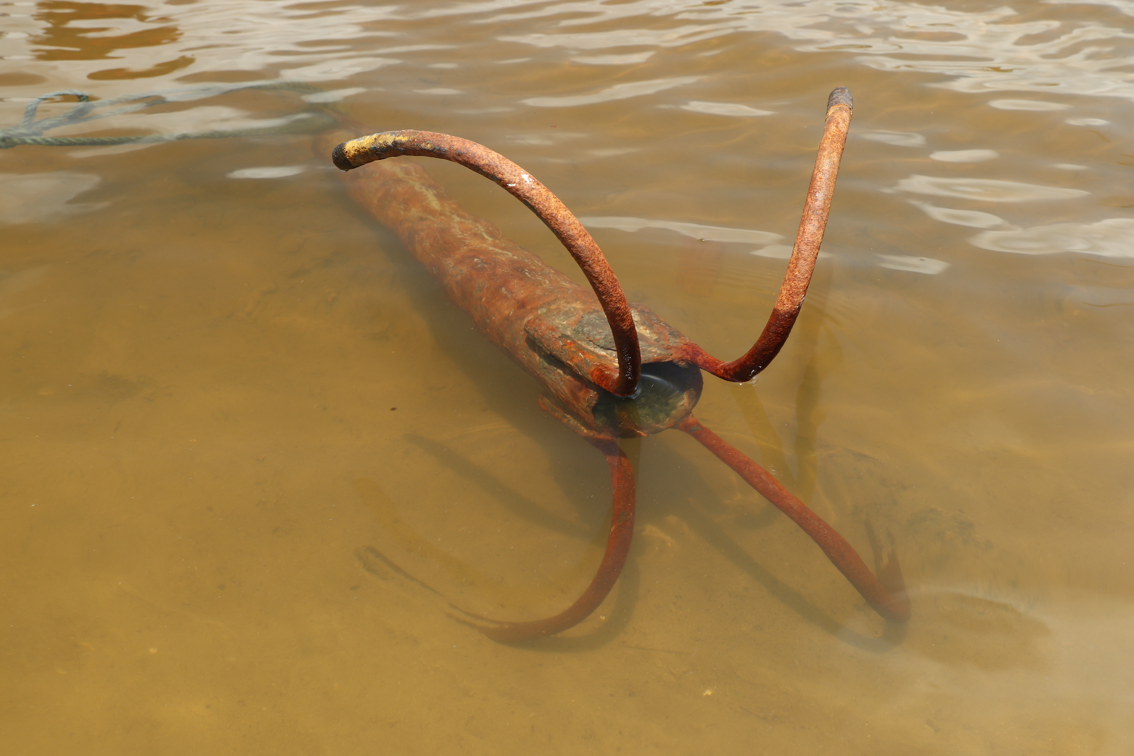 Série Minha guia, 2023.