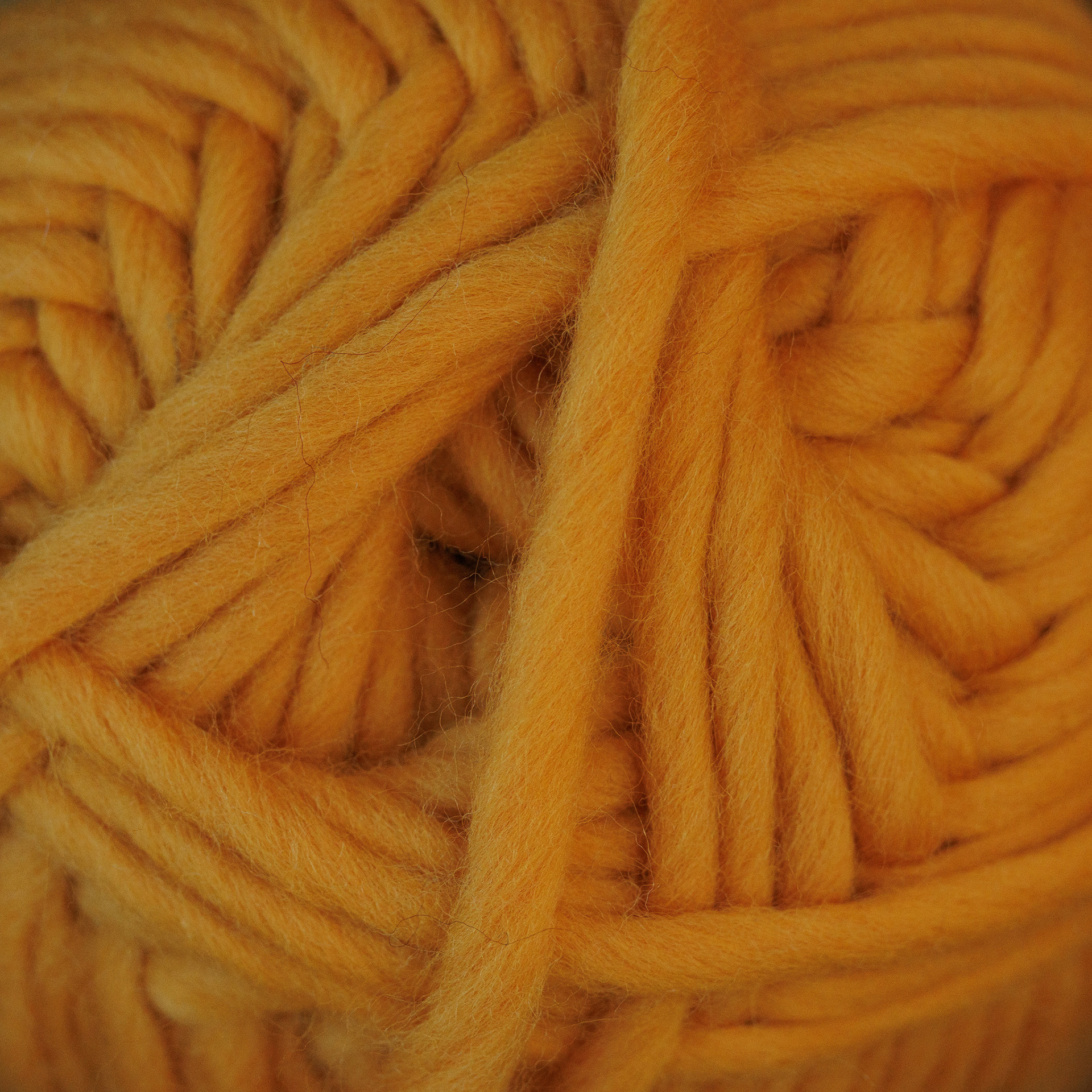 Mustard Yellow