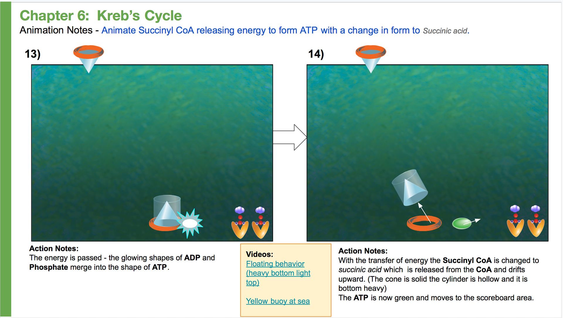 Kreb's Cycle (Citric acid cycle)