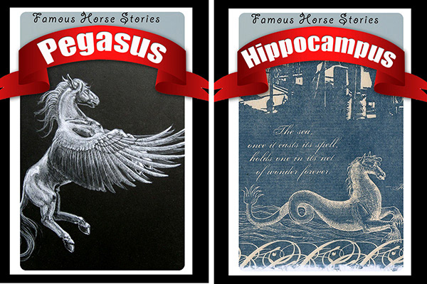 Colletor's Cards