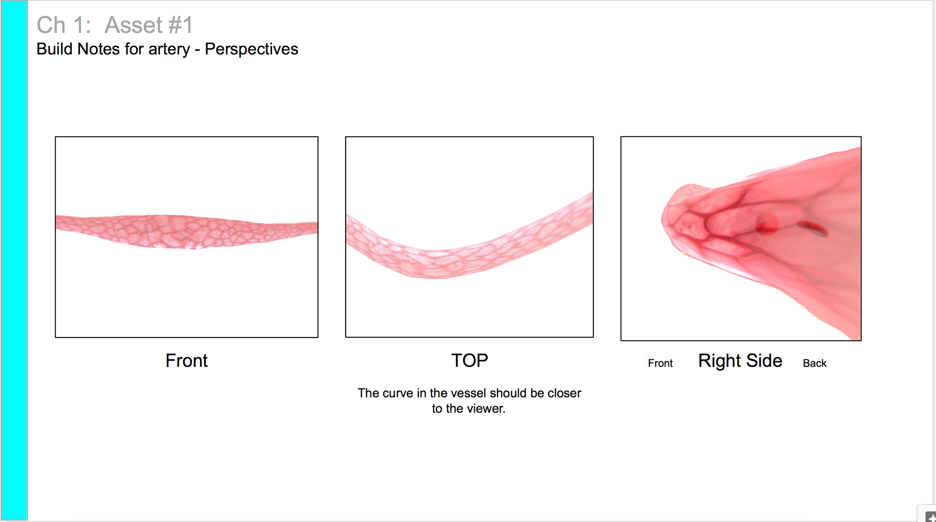 Use of perspective to enlarge the minuscule transport protein as it moves toward the viewer.