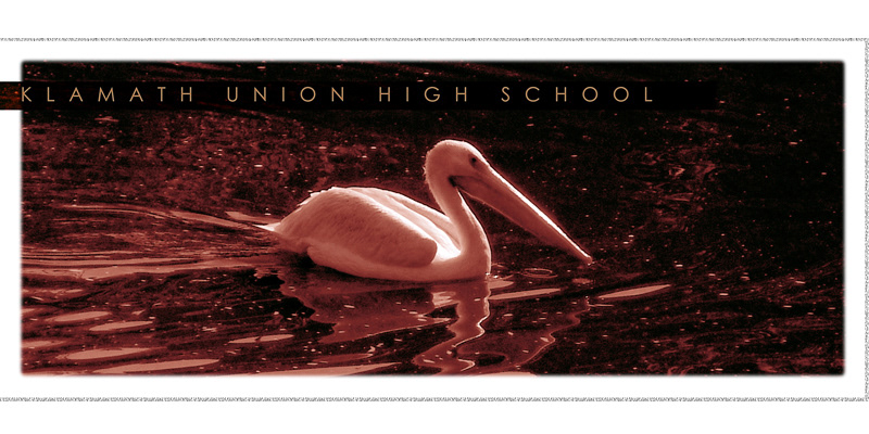 High School Reunion Website Banner