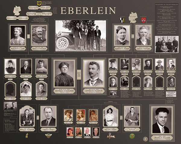 Family Tree Poster Design