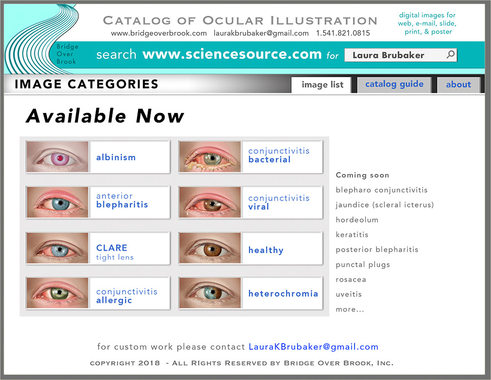 Catalog of Ocular Illustration - Categories