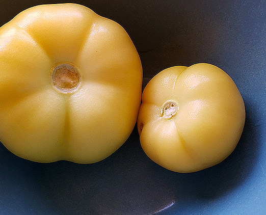 Tomatillos