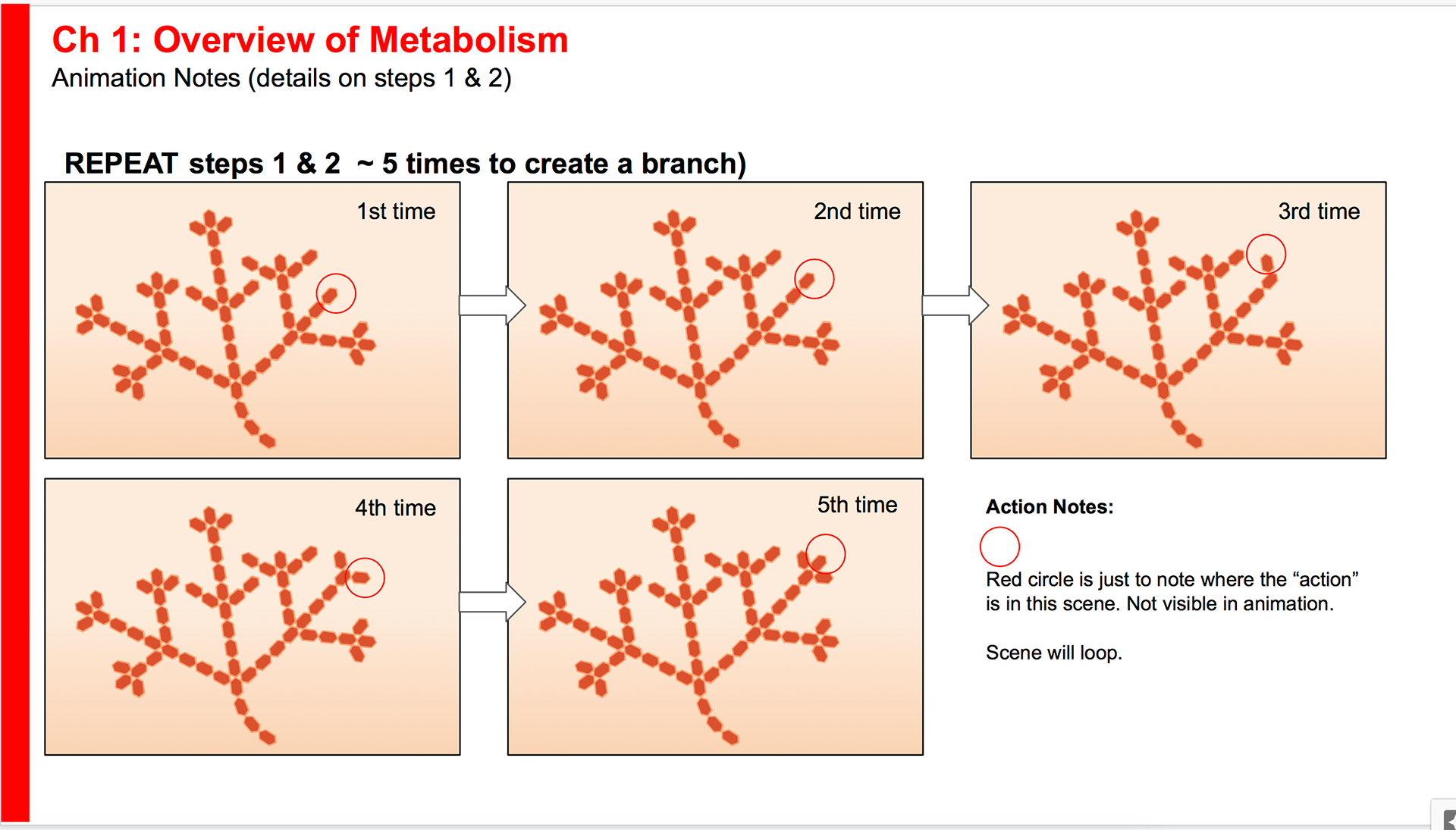 Catabolism and anabolism.