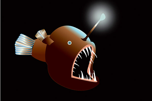 Angler Fish