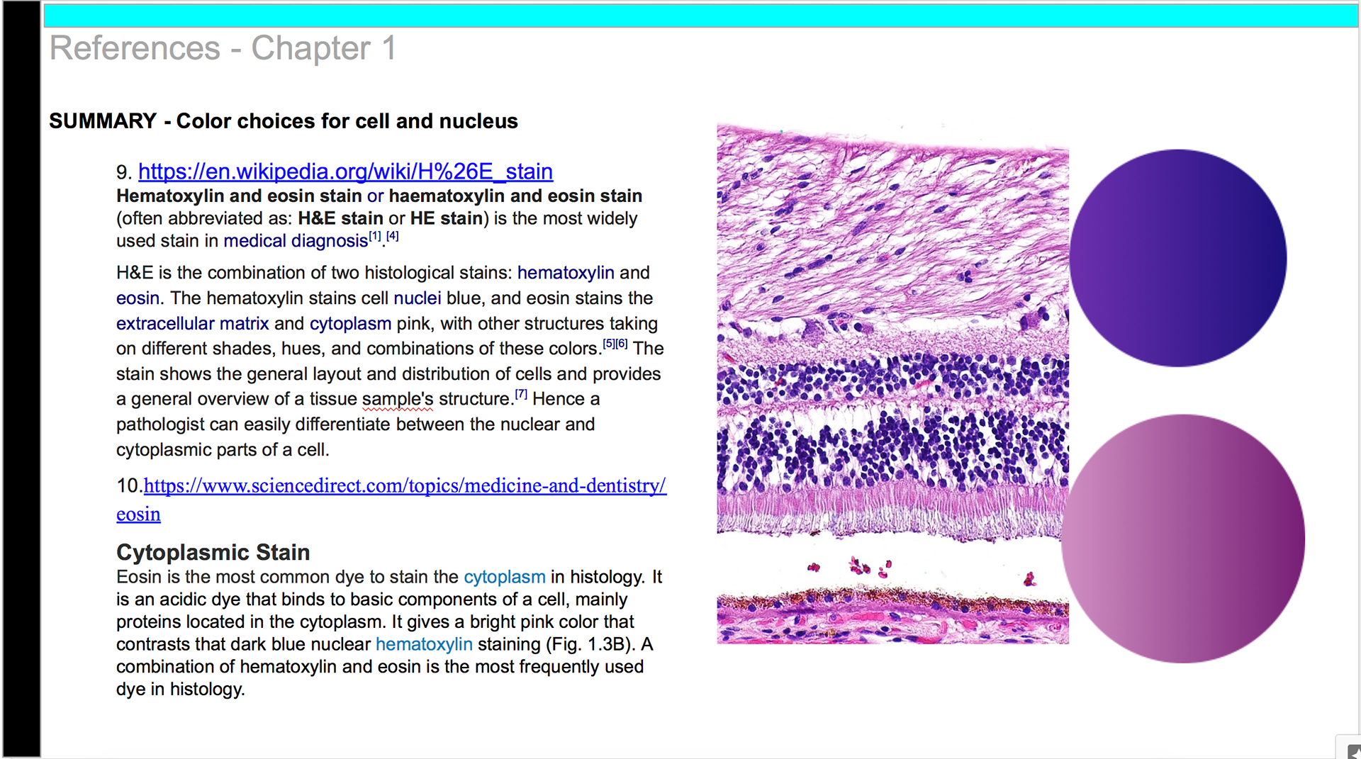 Reference for color choices of nucleus and cell