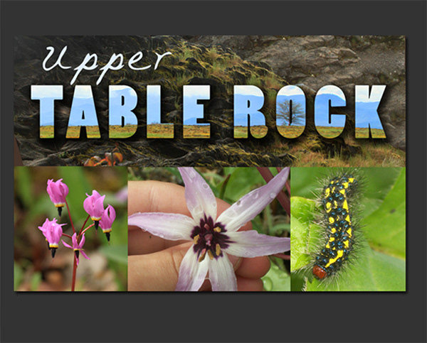 Table Rock Book Cover
