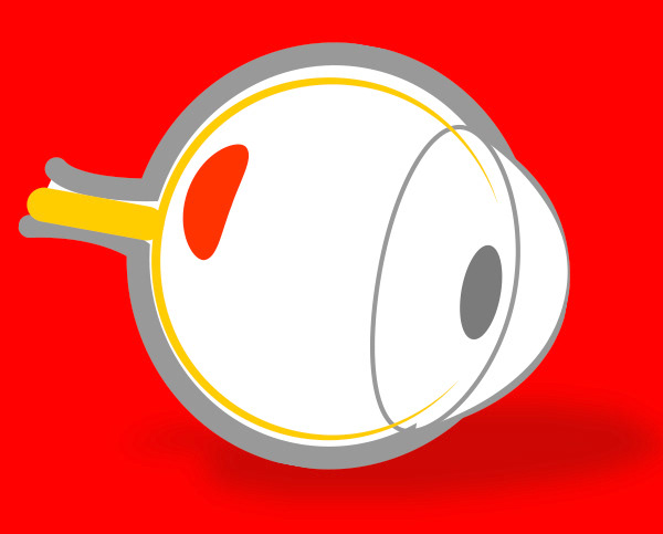 Wet AMD