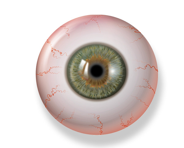 Normal Eye