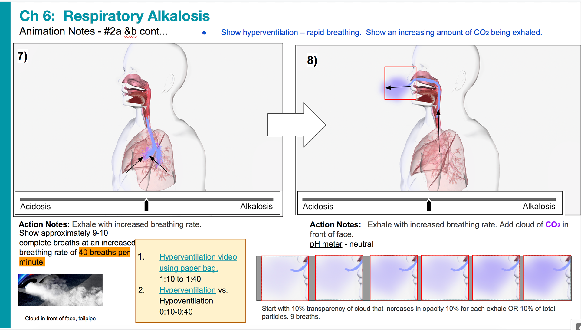 Animation notes on the over-exhalation of carbon dioxide leading to alkalosis.