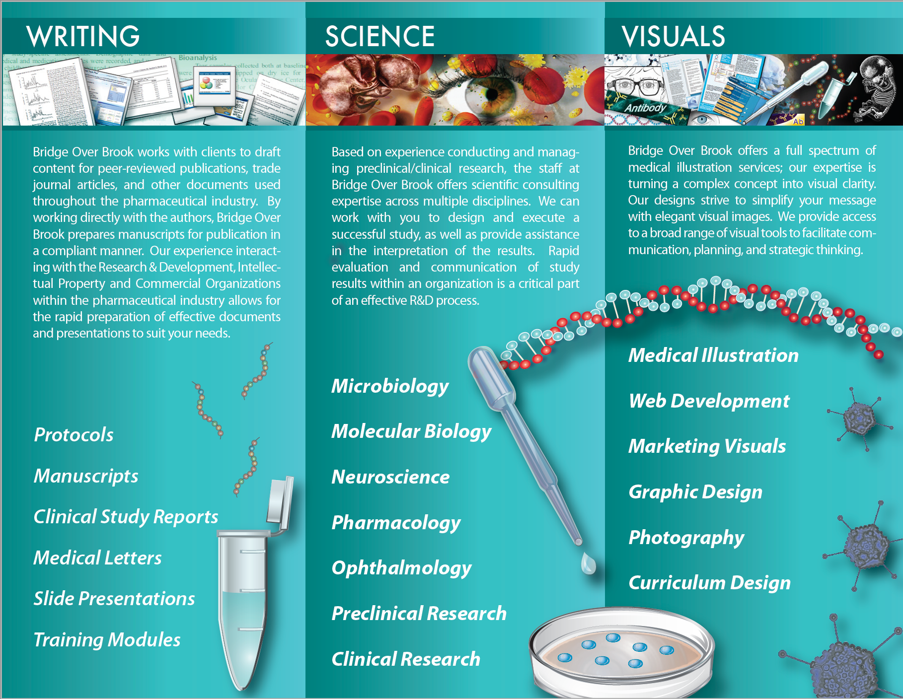 Brochure