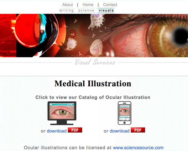 Website Banner