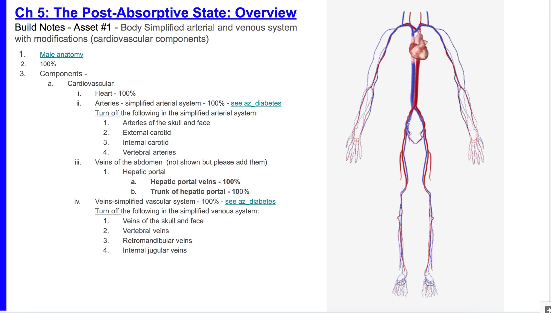 Buildnote showing a simplified cardiovascular system