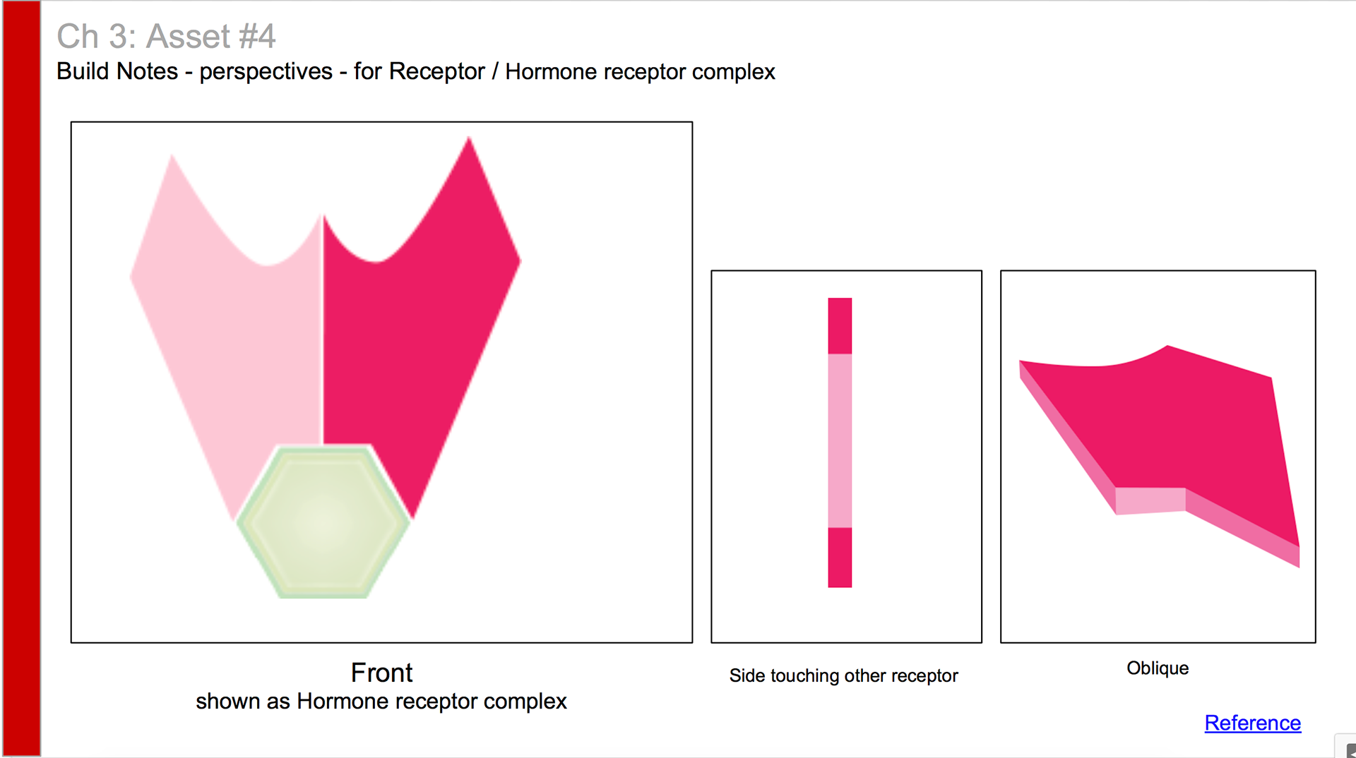 Build Note - Perspectives for hormone receptor complex