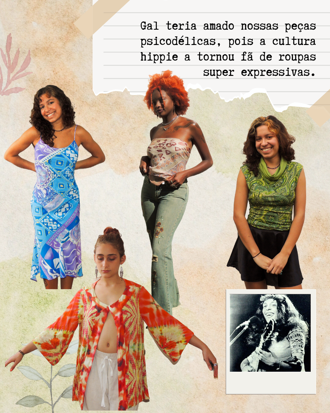 Lâmina de Carrossel "Roupas que Gal Costa compraria no Maithá"