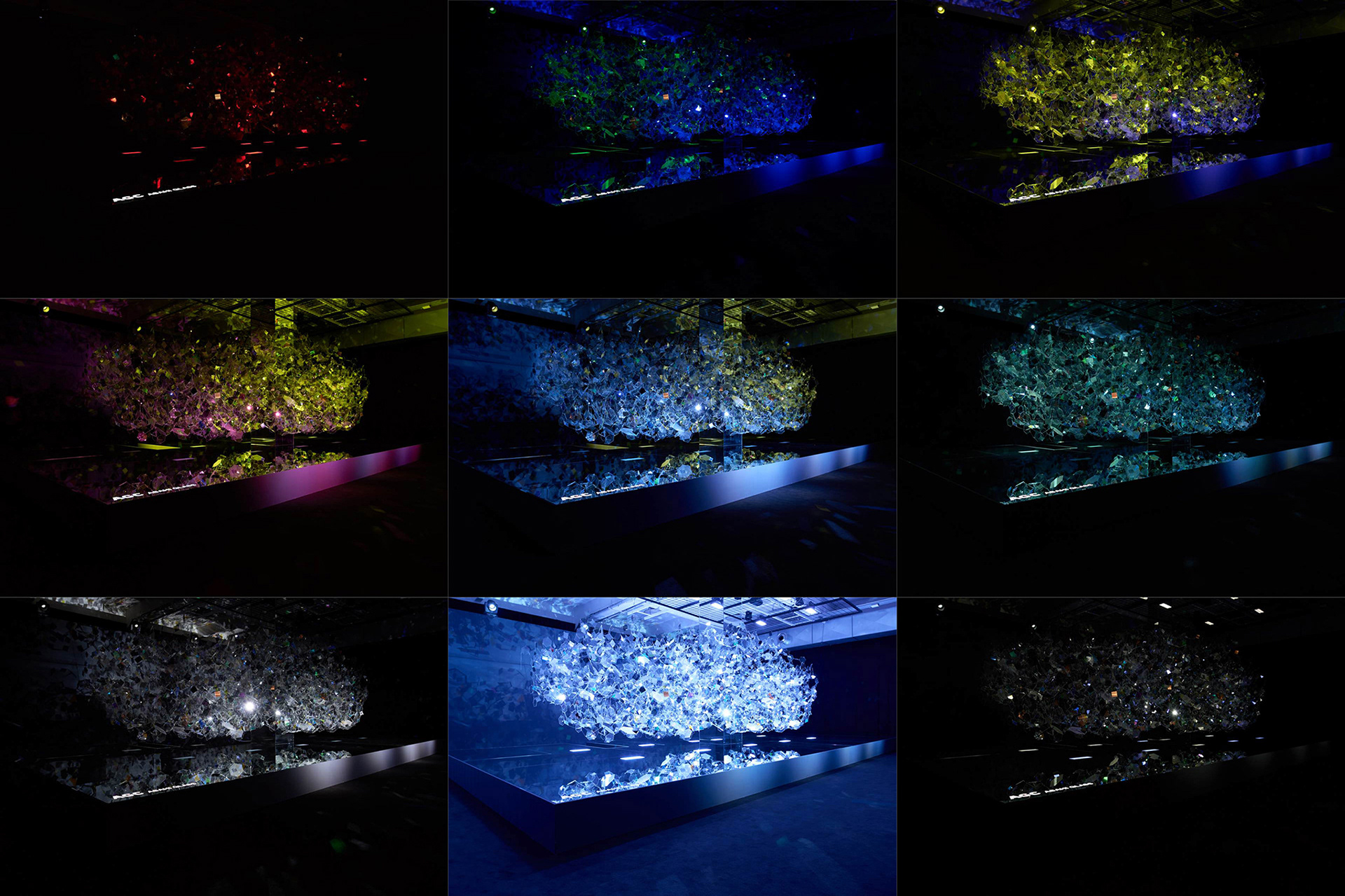 様々な色のライトに照らされる「Amorphous」