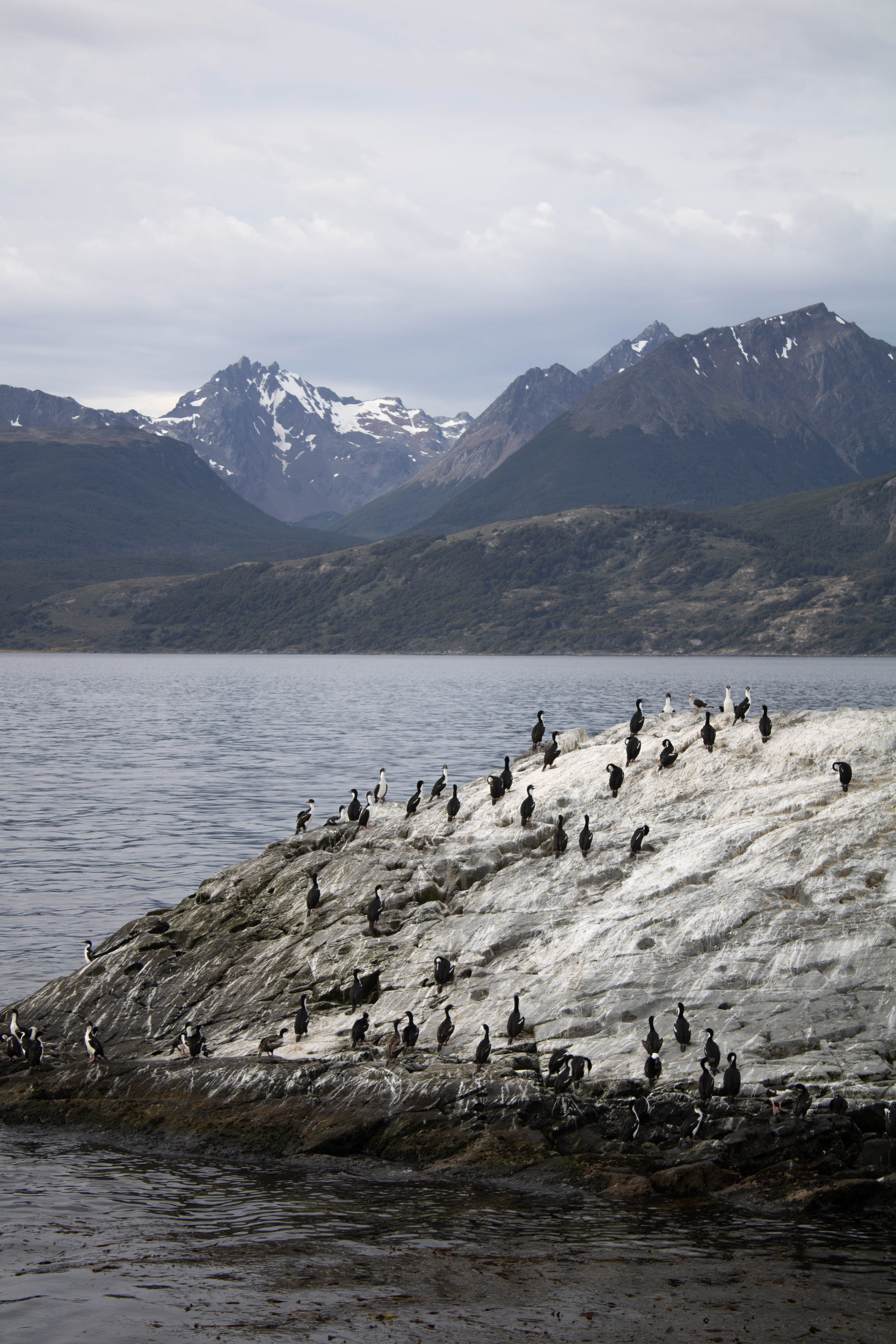 Canal de Beagle - Ushuaia 2023